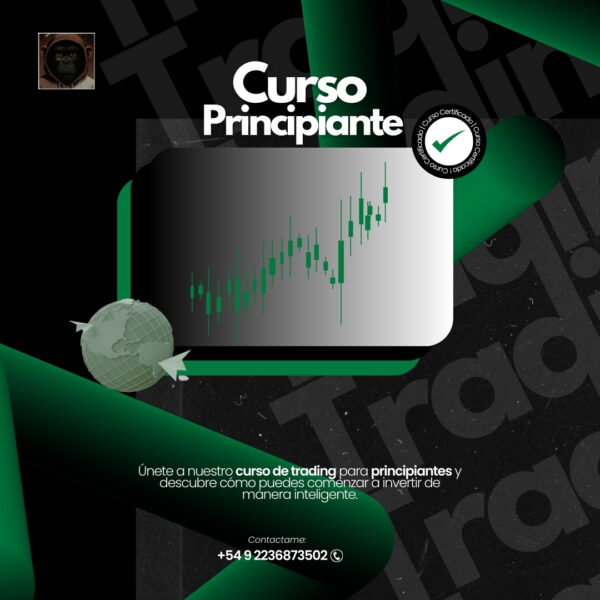 Entrenamiento Principiante