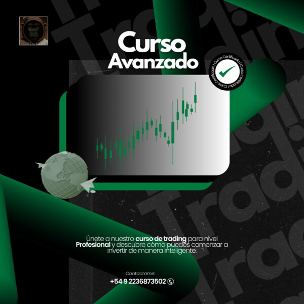 profesional Entrenamiento Avanzado Profesional